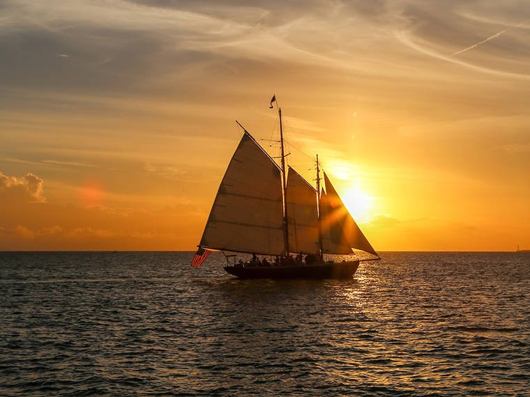 Why Top Companies Are Choosing "Forest Boardrooms" Over City Hotels